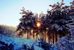 Beautiful Winter Landscape as the Sun Sets