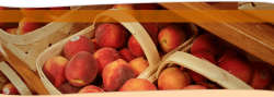 Georgia Peach Festival – Two Dates & Locations!