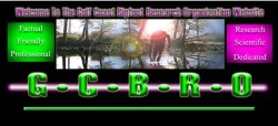 Bigfoot hunters gathering in Mississippi