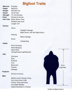 Bigfoot Traits and Profile: Help Find Bigfoot