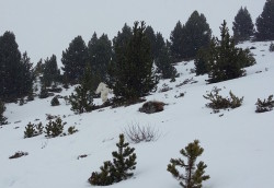 Spanish Skiers Spot Yeti (Photo Evidence)