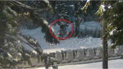 Cryptozoologist spots Bigfoot, footprints and cave dwelling in Oregon