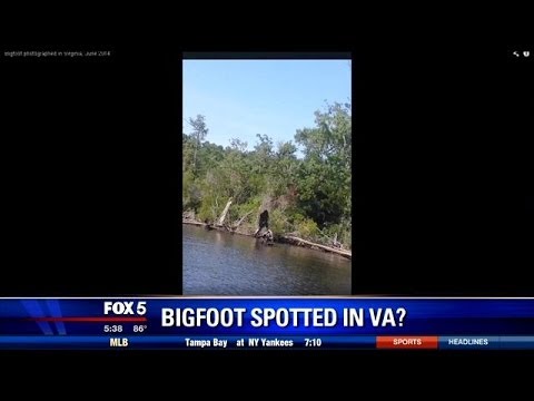 Bigfoot Spotted in Virginia