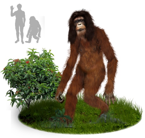 Orang Pendek is Indonesian for “Short Person” but it’s actually a cryptid