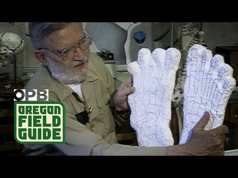 Searching For Bigfoot by the Oregon Field Guide