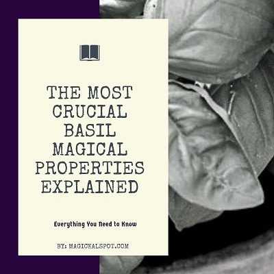 The Most Crucial Basil Magical Properties Explained