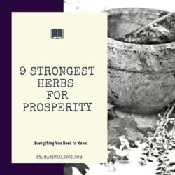 9 Strongest Herbs for Prosperity [Attract Money, Good Luck and More]