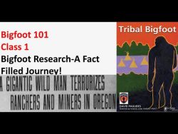 Bigfoot 101 with David Paulides: Class 1