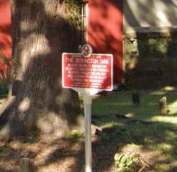 Mystery of the Haunted Boyington Oak Tree in Alabama