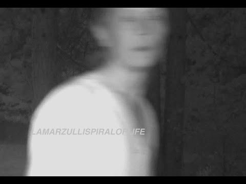 Nordic alien captured on trail camera