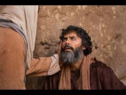 Experience the Miracles Of Jesus Christ